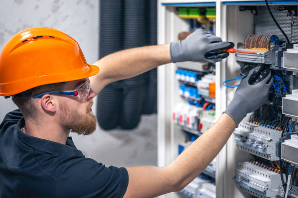 Best Electric Panel Repair  in Silver City, NM